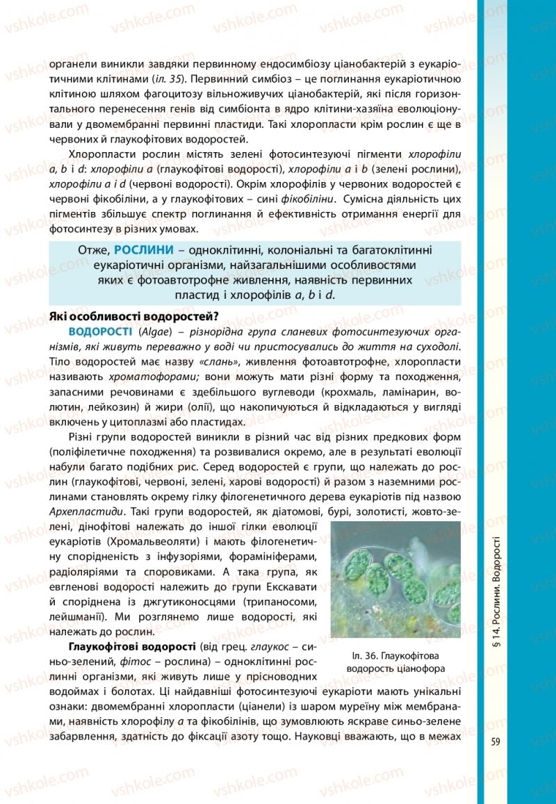 Страница 59 | Підручник Біологія 10 клас В.І. Соболь 2018