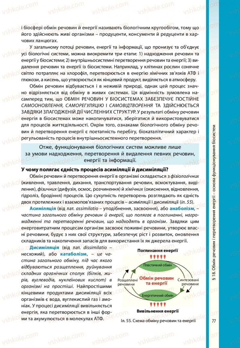 Страница 77 | Підручник Біологія 10 клас В.І. Соболь 2018