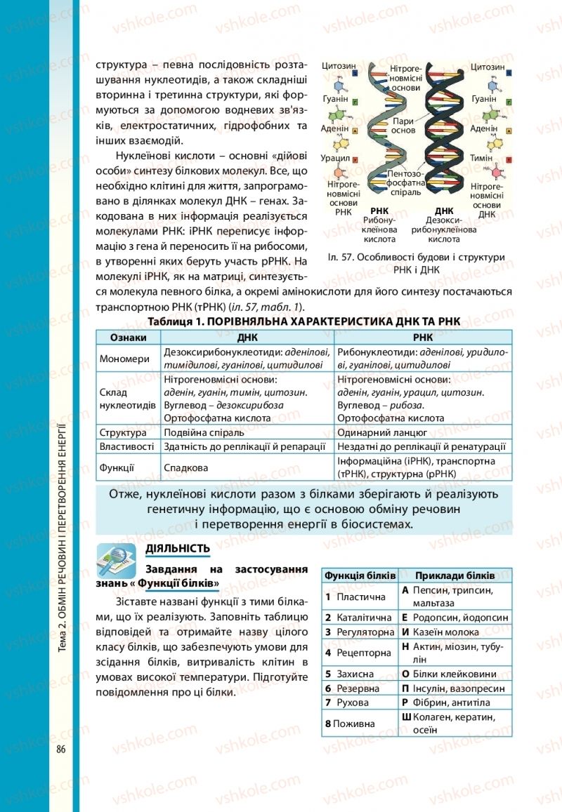 Страница 86 | Підручник Біологія 10 клас В.І. Соболь 2018