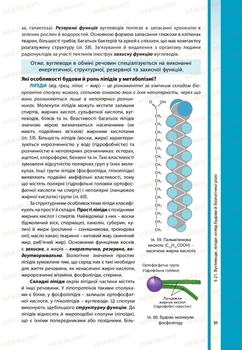 Страница 89 | Підручник Біологія 10 клас В.І. Соболь 2018