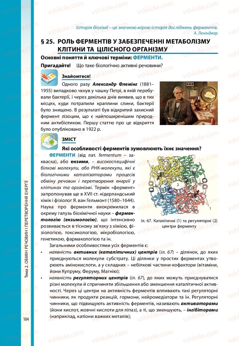 Страница 104 | Підручник Біологія 10 клас В.І. Соболь 2018