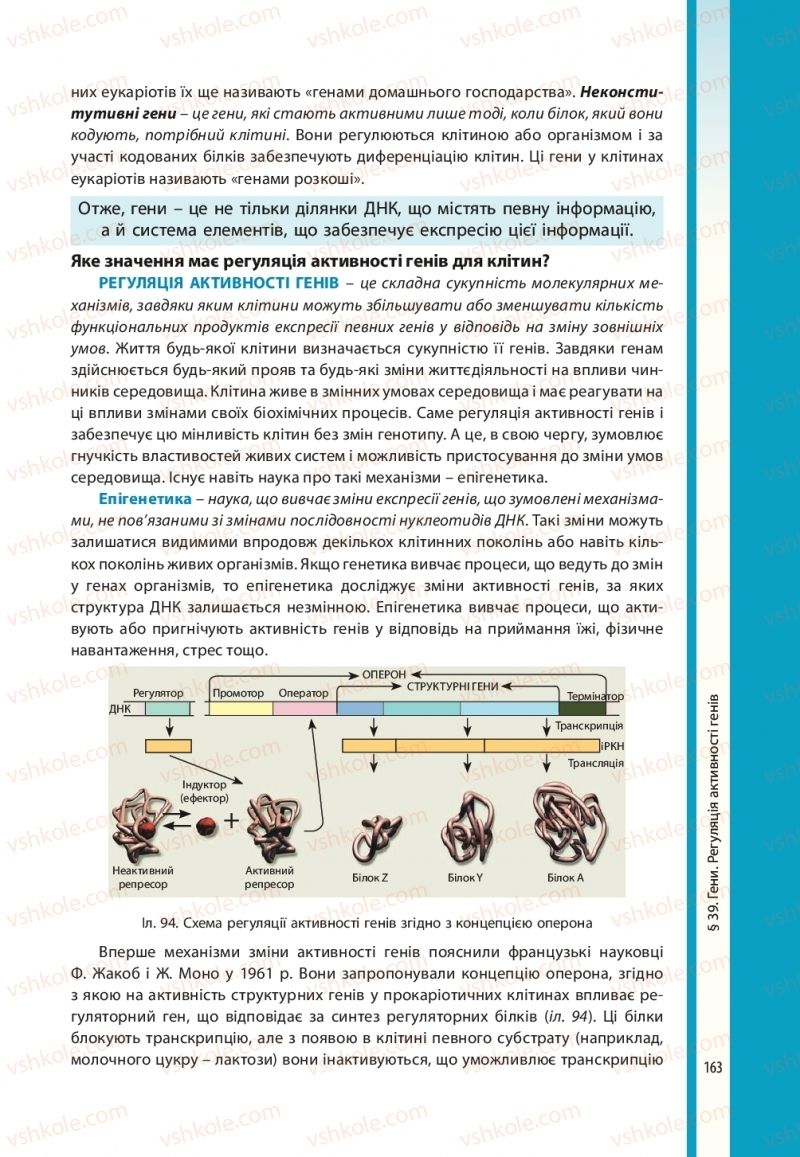 Страница 163 | Підручник Біологія 10 клас В.І. Соболь 2018