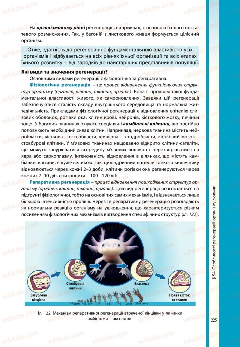 Страница 225 | Підручник Біологія 10 клас В.І. Соболь 2018