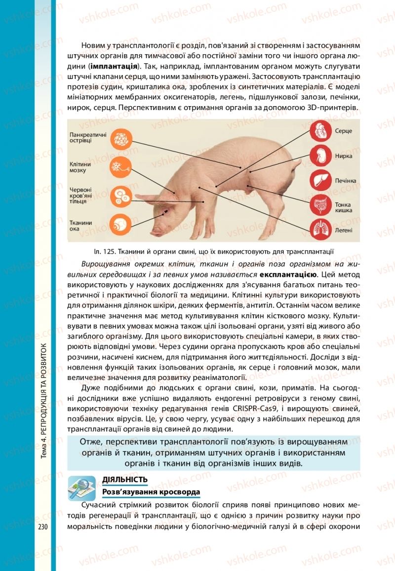 Страница 230 | Підручник Біологія 10 клас В.І. Соболь 2018