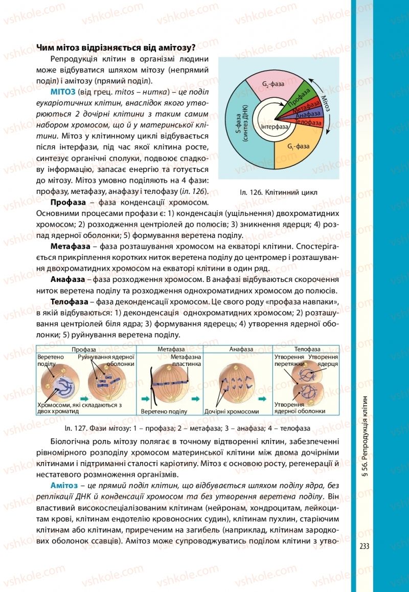 Страница 233 | Підручник Біологія 10 клас В.І. Соболь 2018