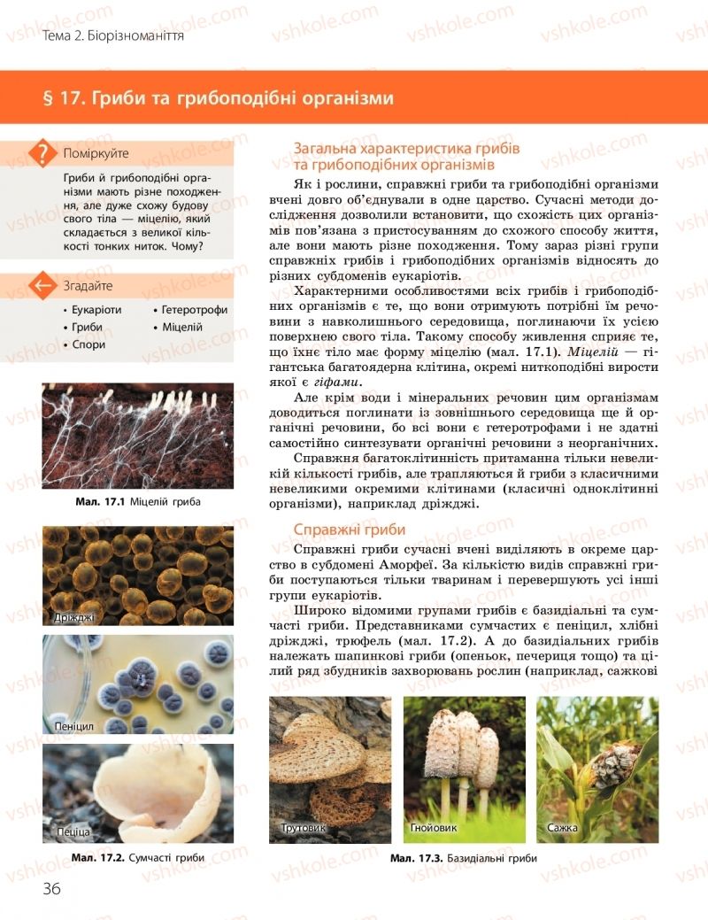 Страница 36 | Підручник Біологія 10 клас К.М. Задорожний, О.М. Утєвська 2018