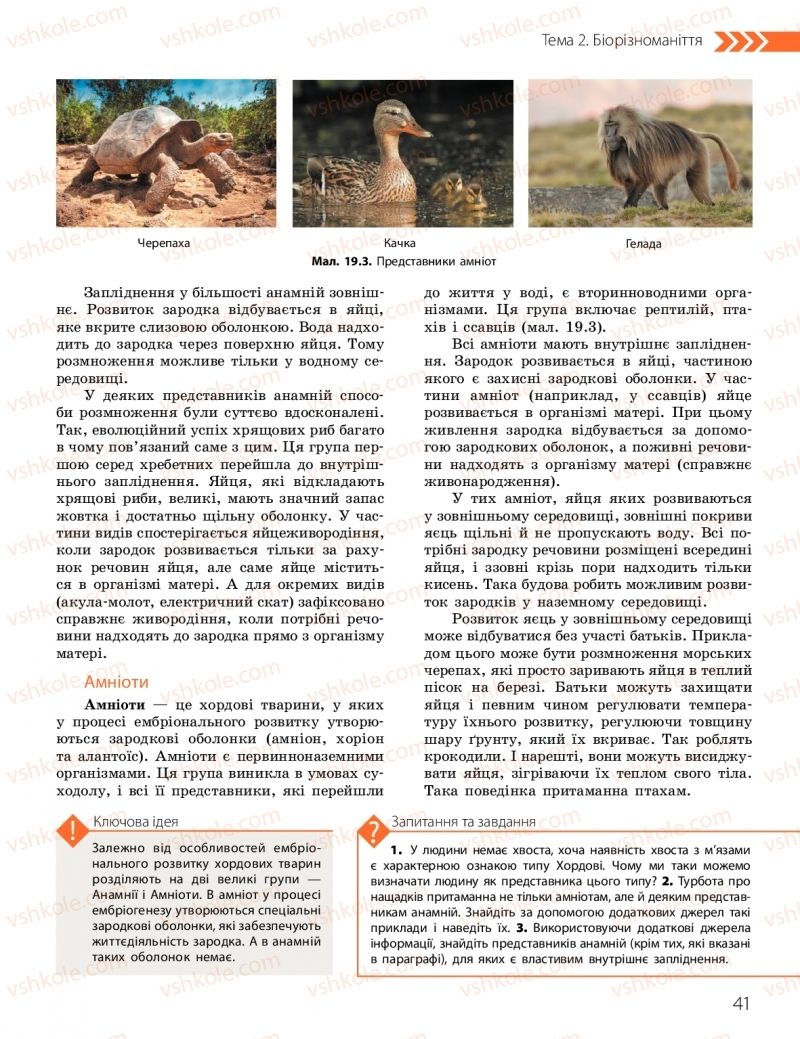 Страница 41 | Підручник Біологія 10 клас К.М. Задорожний, О.М. Утєвська 2018