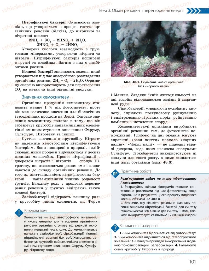 Страница 101 | Підручник Біологія 10 клас К.М. Задорожний, О.М. Утєвська 2018