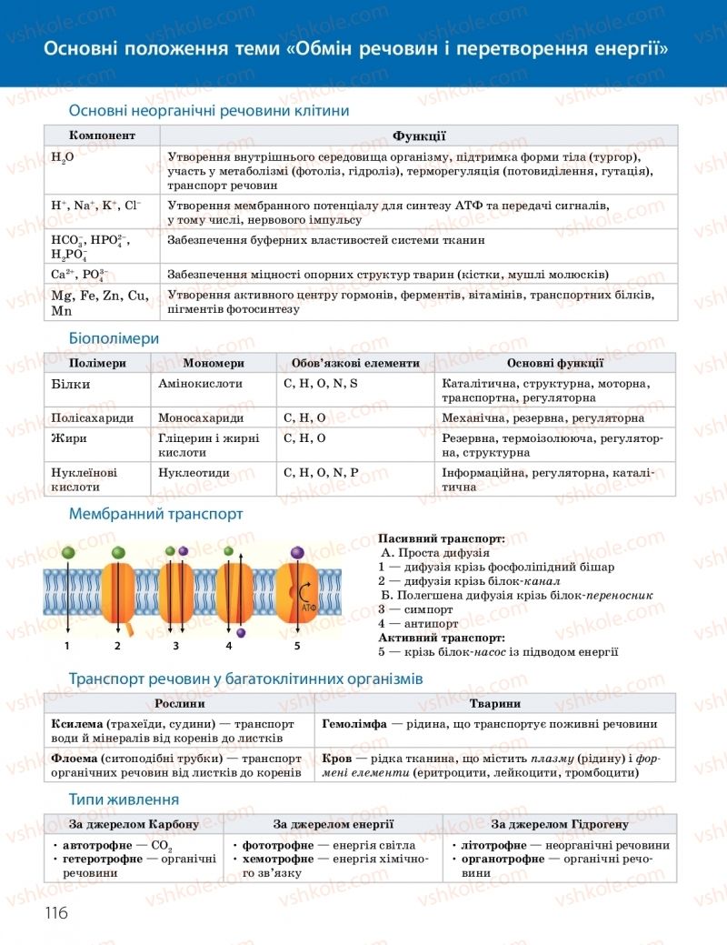 Страница 116 | Підручник Біологія 10 клас К.М. Задорожний, О.М. Утєвська 2018