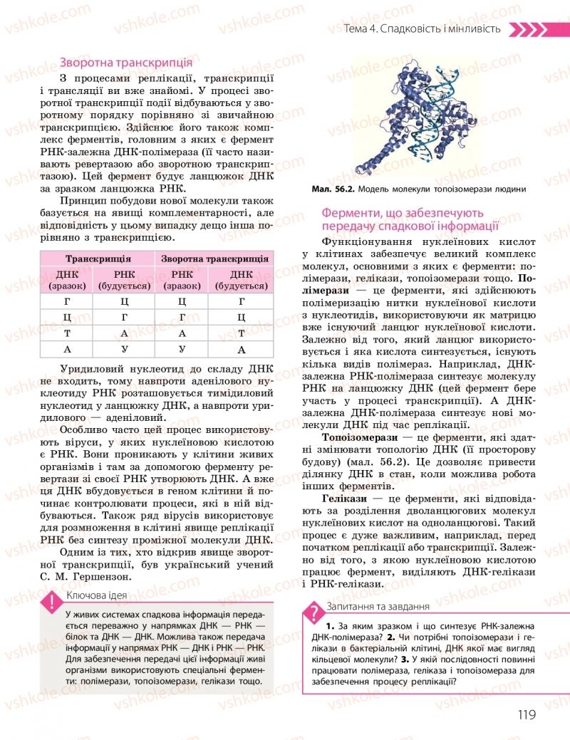 Страница 119 | Підручник Біологія 10 клас К.М. Задорожний, О.М. Утєвська 2018