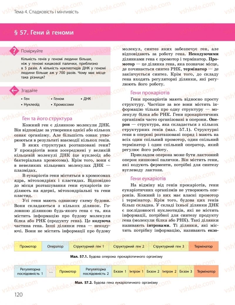 Страница 120 | Підручник Біологія 10 клас К.М. Задорожний, О.М. Утєвська 2018