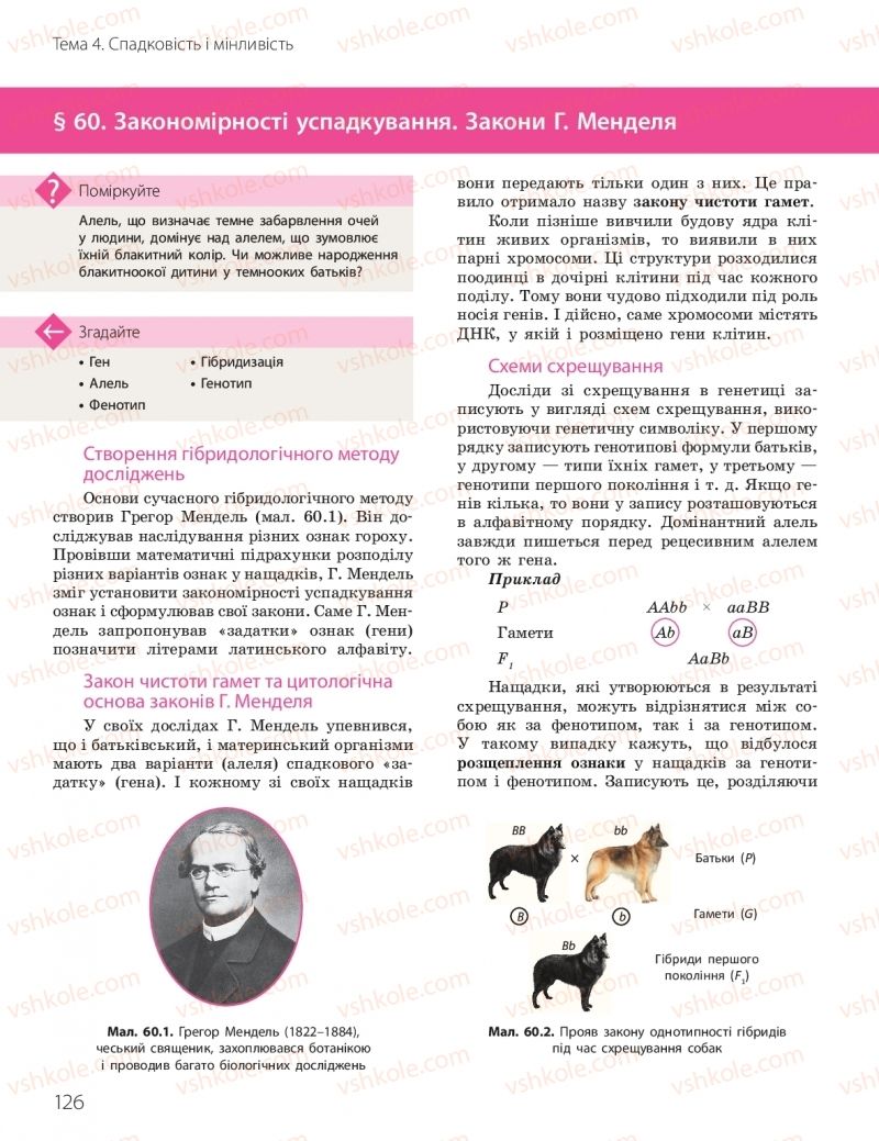 Страница 126 | Підручник Біологія 10 клас К.М. Задорожний, О.М. Утєвська 2018