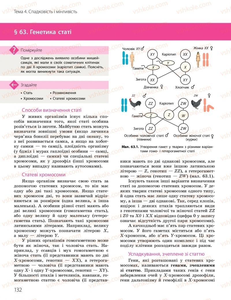 Страница 132 | Підручник Біологія 10 клас К.М. Задорожний, О.М. Утєвська 2018