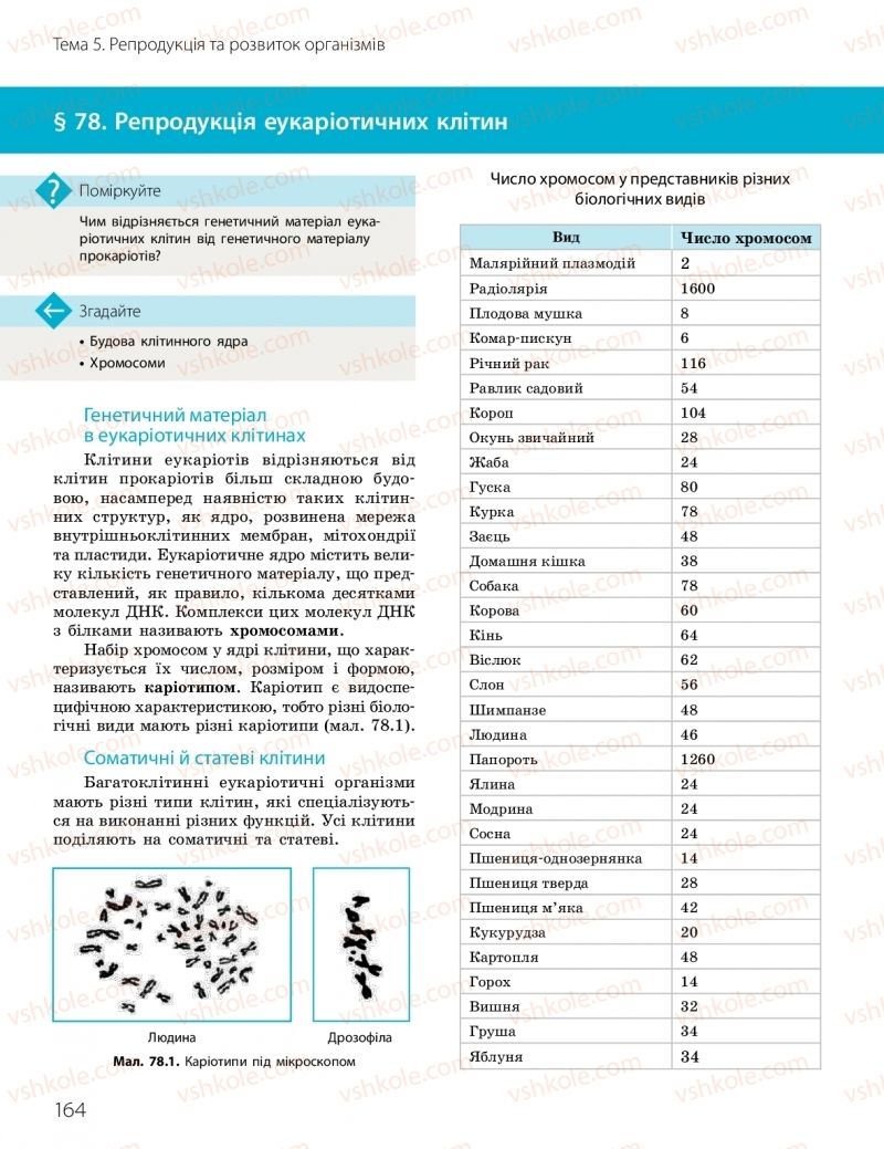 Страница 164 | Підручник Біологія 10 клас К.М. Задорожний, О.М. Утєвська 2018