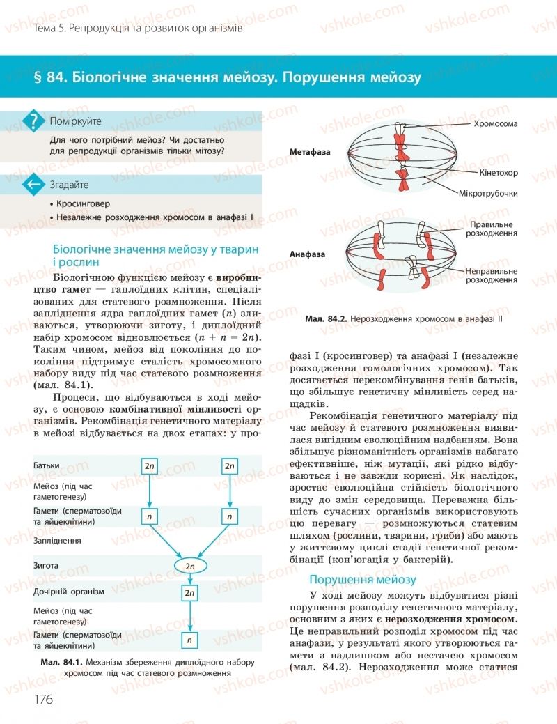 Страница 176 | Підручник Біологія 10 клас К.М. Задорожний, О.М. Утєвська 2018