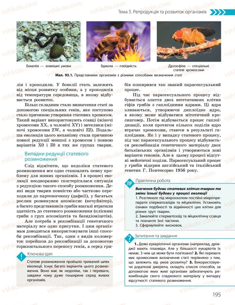 Страница 195 | Підручник Біологія 10 клас К.М. Задорожний, О.М. Утєвська 2018