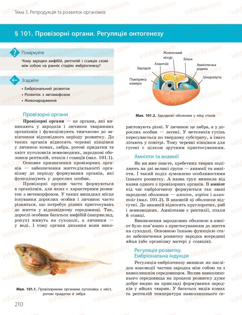 Страница 210 | Підручник Біологія 10 клас К.М. Задорожний, О.М. Утєвська 2018