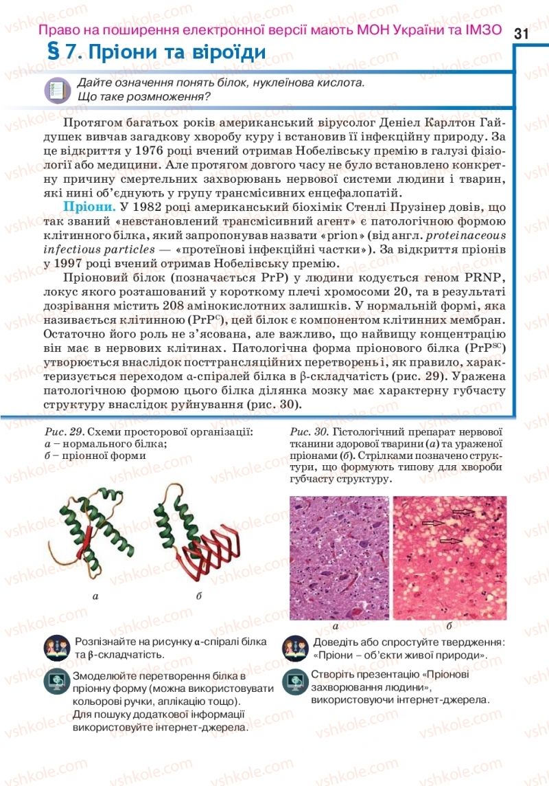 Страница 31 | Підручник Біологія 10 клас О.А. Андерсон, А.О Чернінський, М.А. Вихренко, С.М. Міюс 2018