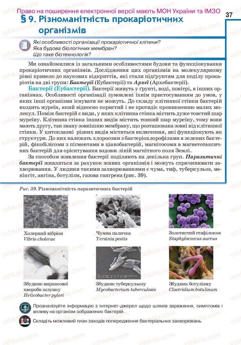 Страница 37 | Підручник Біологія 10 клас О.А. Андерсон, А.О Чернінський, М.А. Вихренко, С.М. Міюс 2018