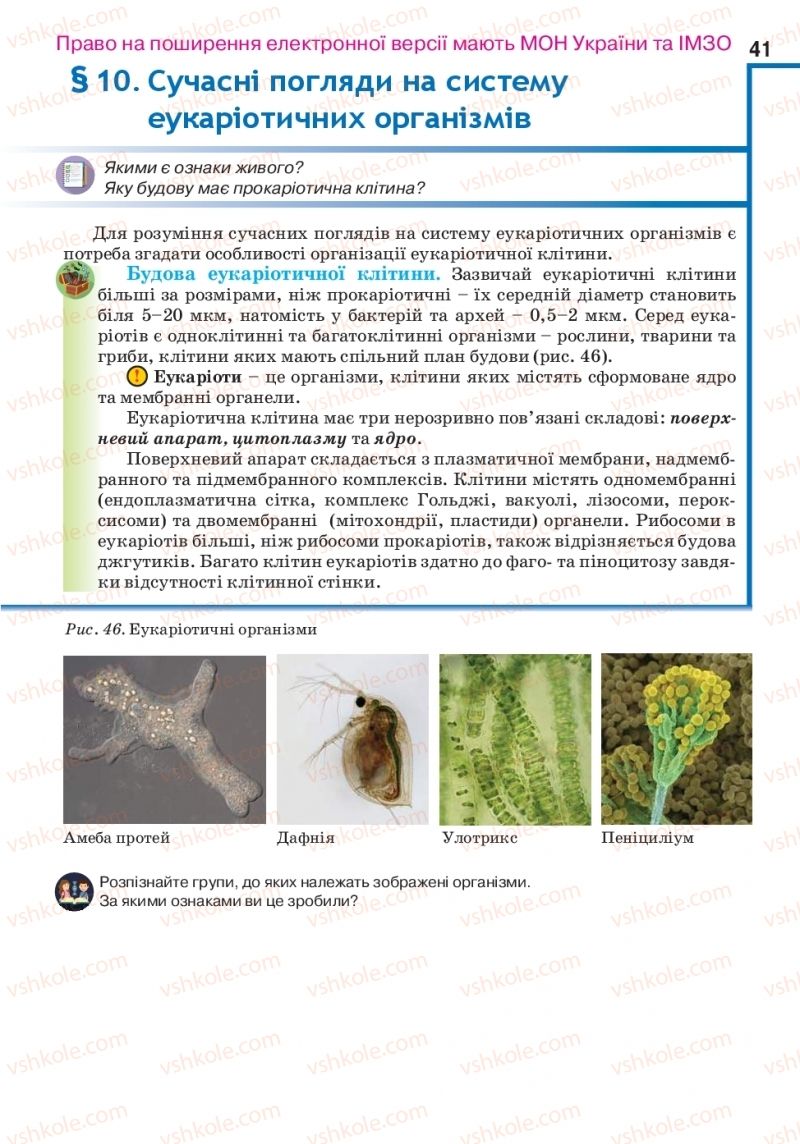 Страница 41 | Підручник Біологія 10 клас О.А. Андерсон, А.О Чернінський, М.А. Вихренко, С.М. Міюс 2018