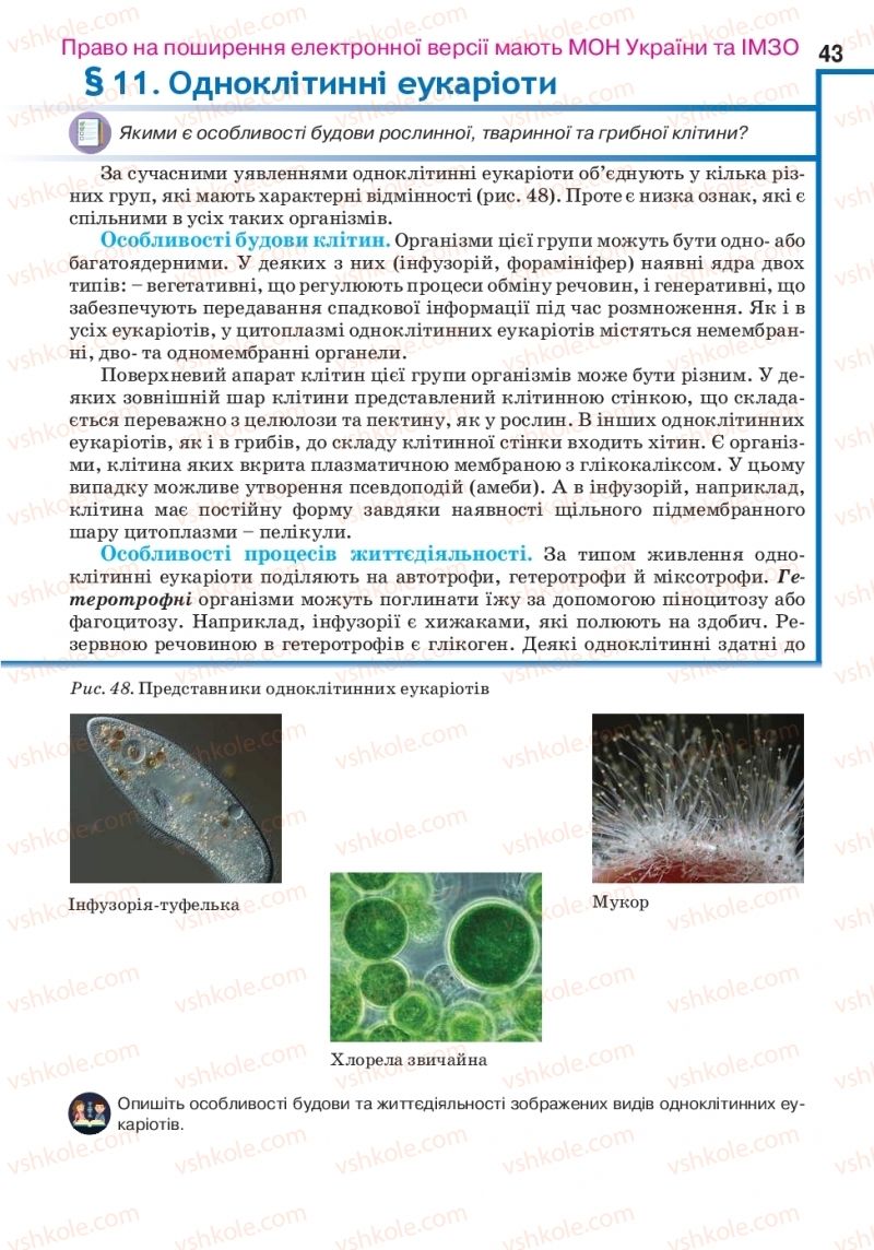 Страница 43 | Підручник Біологія 10 клас О.А. Андерсон, А.О Чернінський, М.А. Вихренко, С.М. Міюс 2018