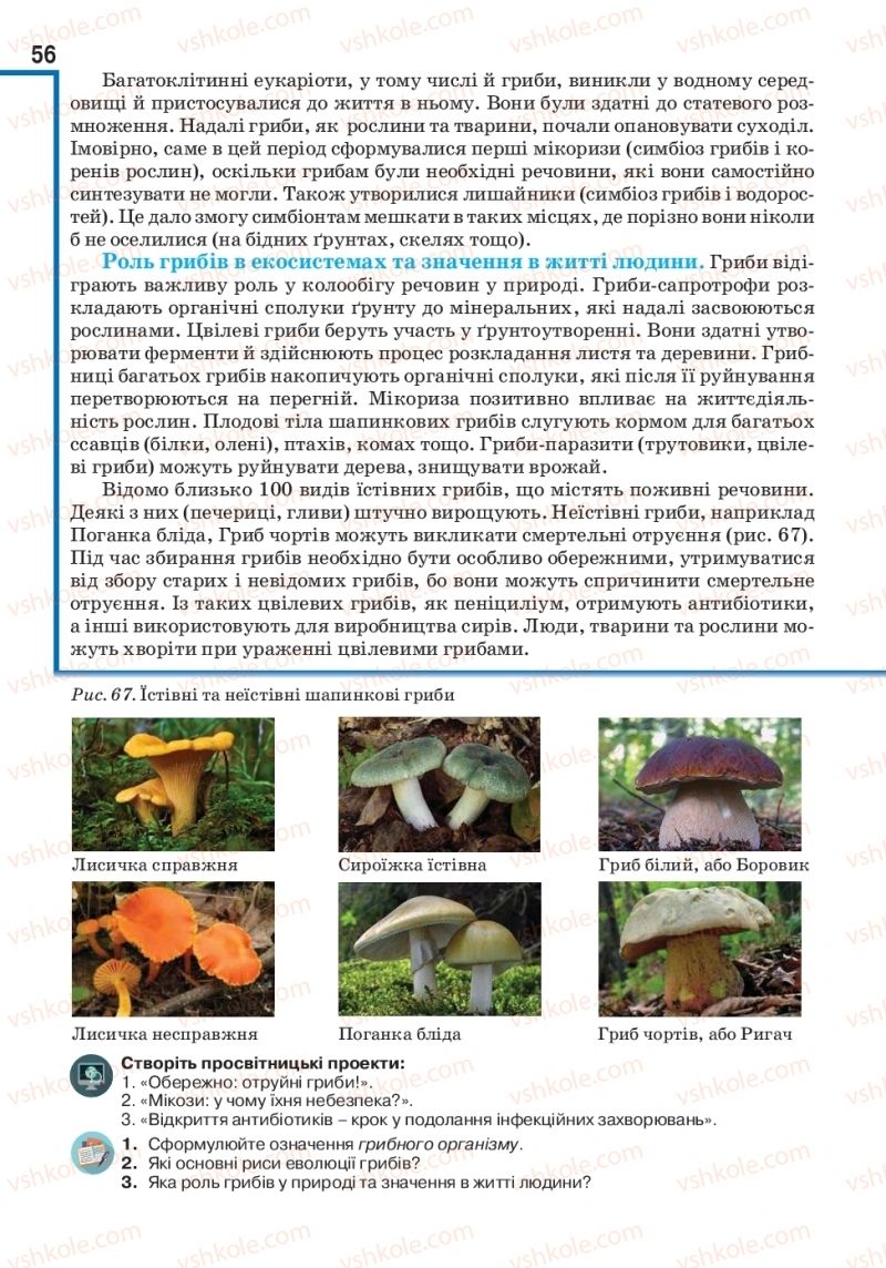 Страница 56 | Підручник Біологія 10 клас О.А. Андерсон, А.О Чернінський, М.А. Вихренко, С.М. Міюс 2018