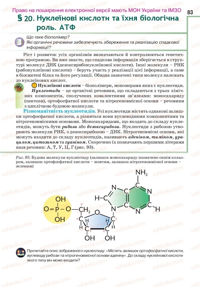 Страница 83 | Підручник Біологія 10 клас О.А. Андерсон, А.О Чернінський, М.А. Вихренко, С.М. Міюс 2018