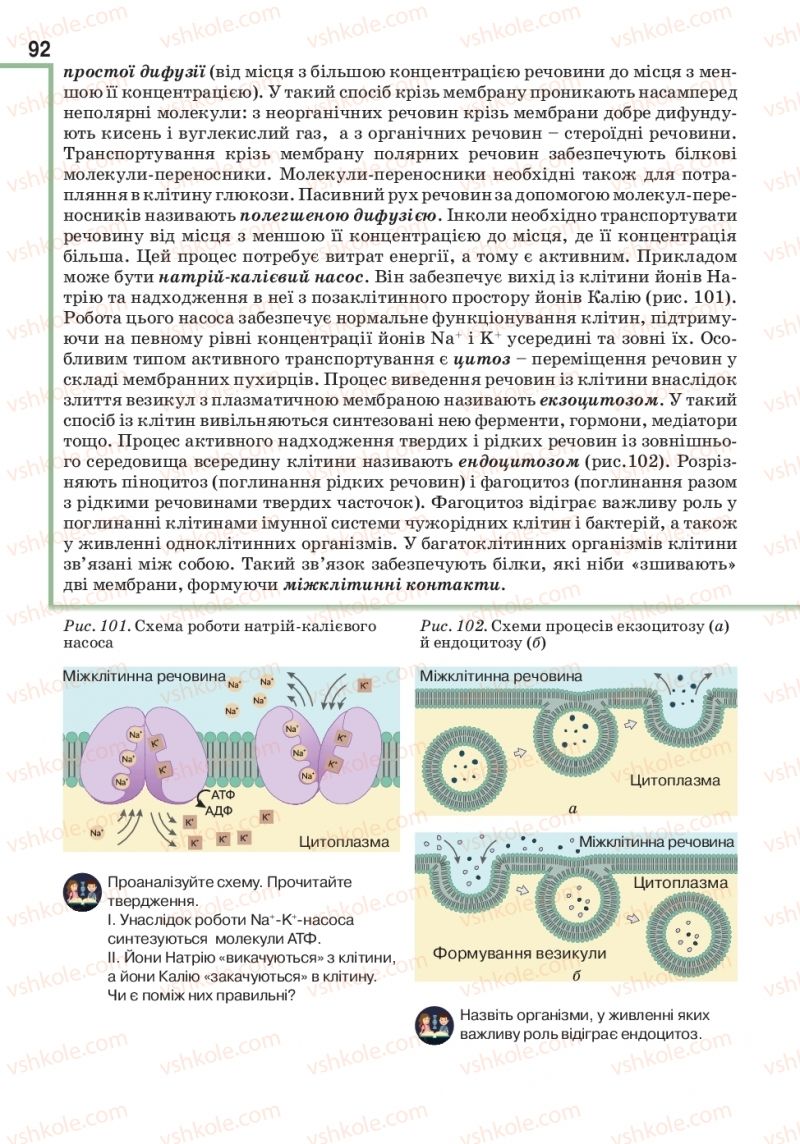 Страница 92 | Підручник Біологія 10 клас О.А. Андерсон, А.О Чернінський, М.А. Вихренко, С.М. Міюс 2018