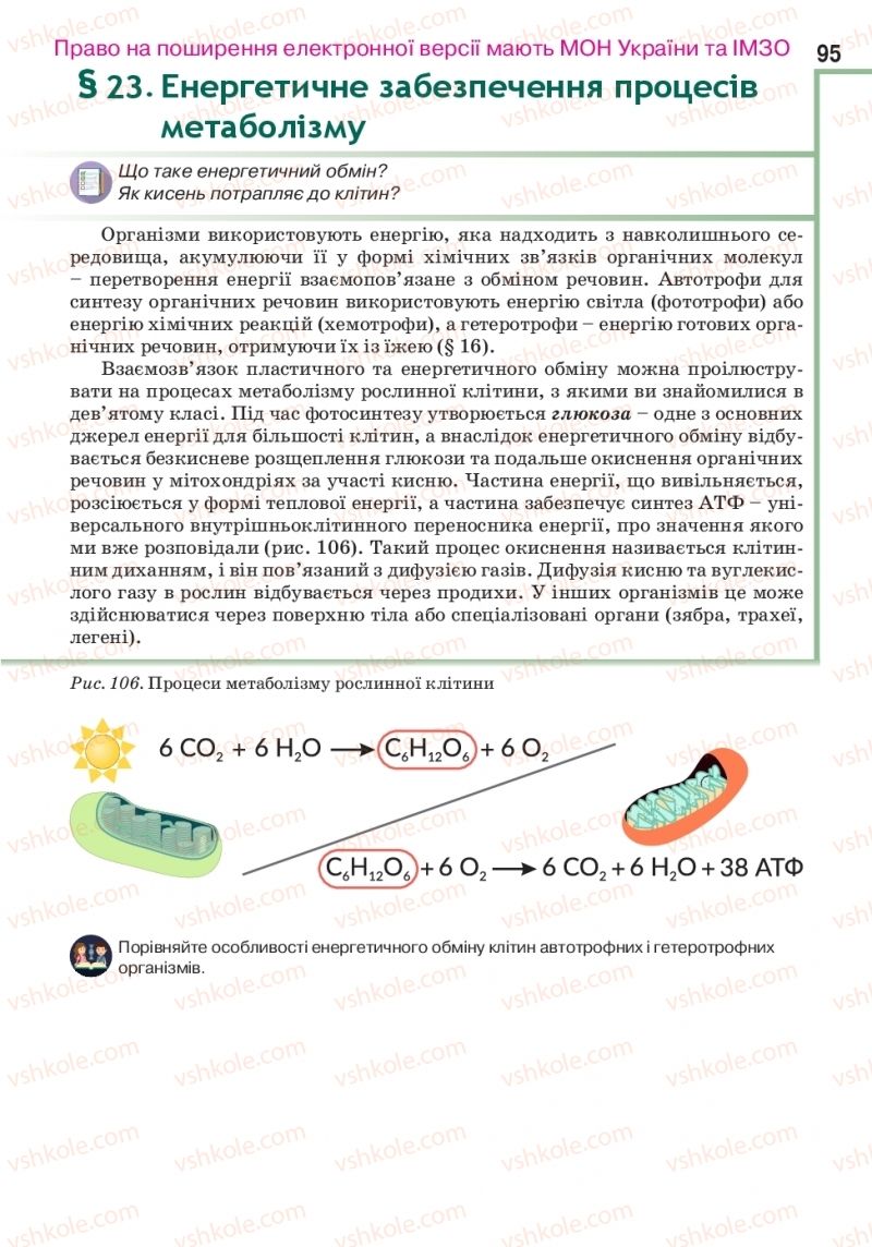 Страница 95 | Підручник Біологія 10 клас О.А. Андерсон, А.О Чернінський, М.А. Вихренко, С.М. Міюс 2018