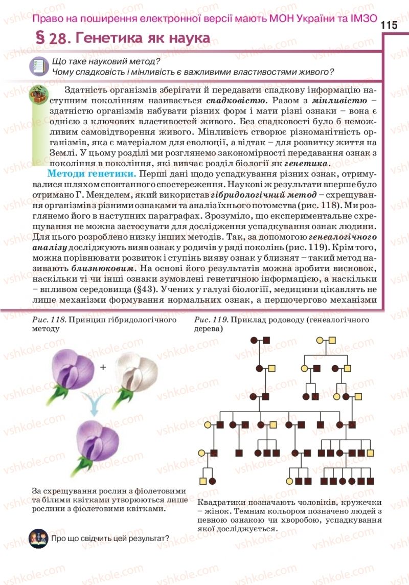 Страница 115 | Підручник Біологія 10 клас О.А. Андерсон, А.О Чернінський, М.А. Вихренко, С.М. Міюс 2018