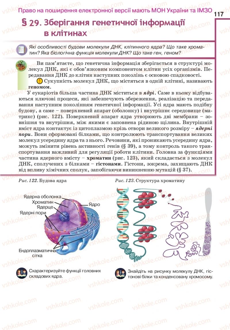 Страница 117 | Підручник Біологія 10 клас О.А. Андерсон, А.О Чернінський, М.А. Вихренко, С.М. Міюс 2018