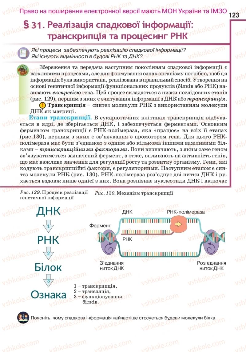 Страница 123 | Підручник Біологія 10 клас О.А. Андерсон, А.О Чернінський, М.А. Вихренко, С.М. Міюс 2018