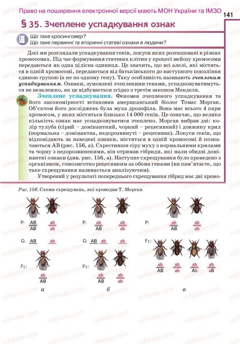 Страница 141 | Підручник Біологія 10 клас О.А. Андерсон, А.О Чернінський, М.А. Вихренко, С.М. Міюс 2018