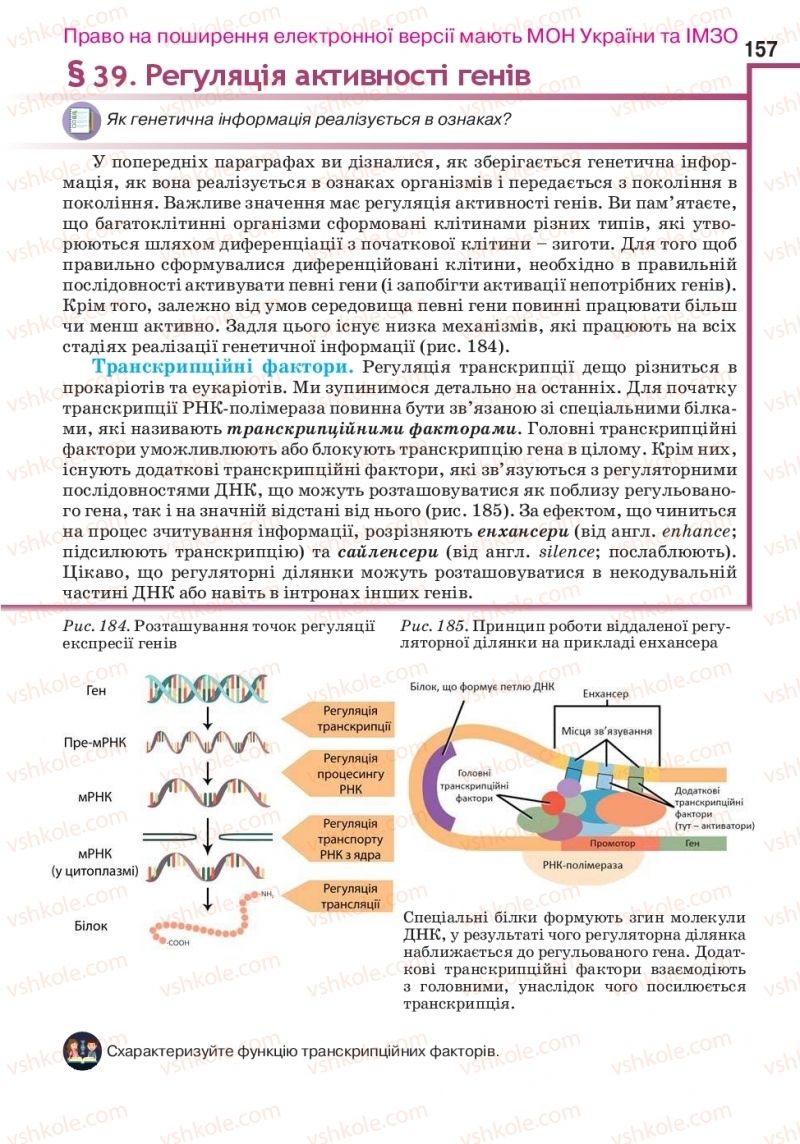 Страница 157 | Підручник Біологія 10 клас О.А. Андерсон, А.О Чернінський, М.А. Вихренко, С.М. Міюс 2018