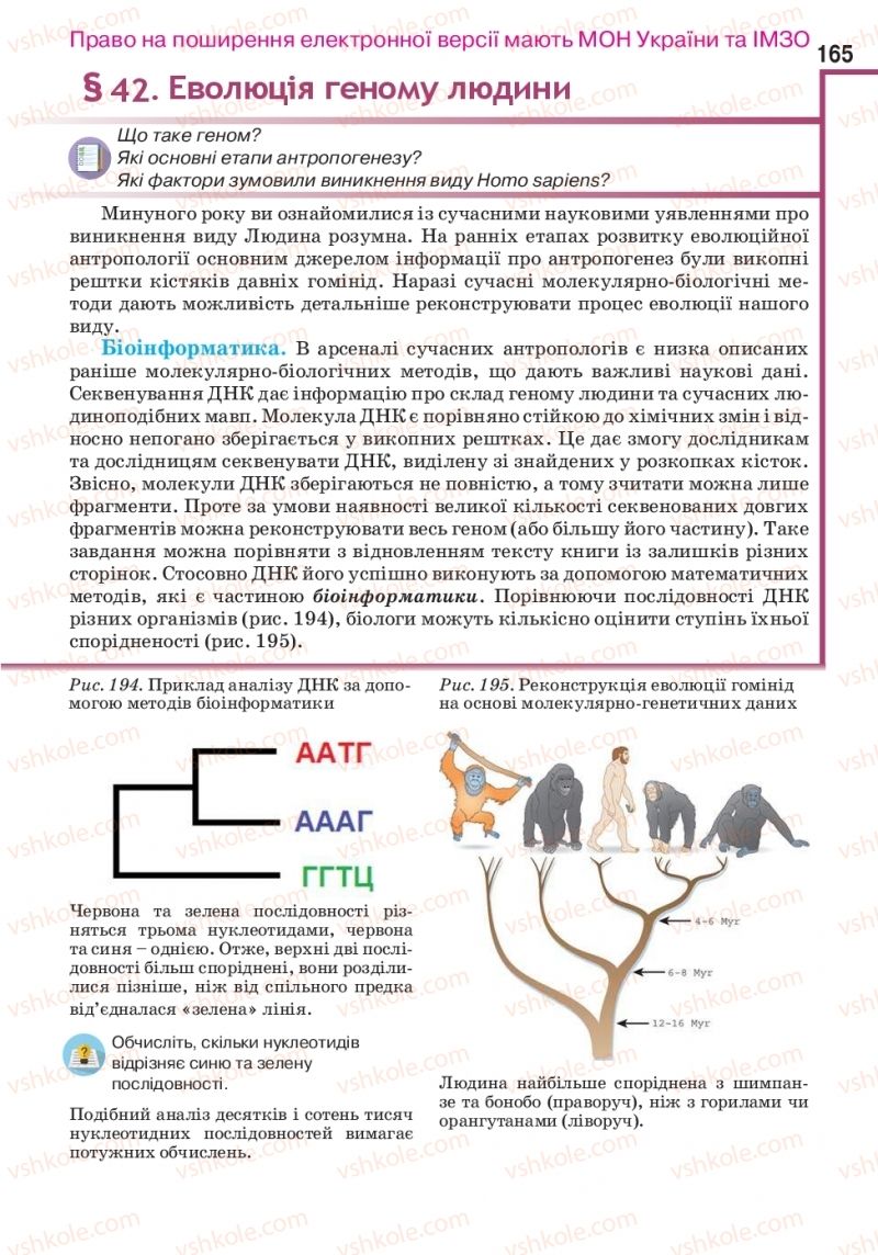 Страница 165 | Підручник Біологія 10 клас О.А. Андерсон, А.О Чернінський, М.А. Вихренко, С.М. Міюс 2018