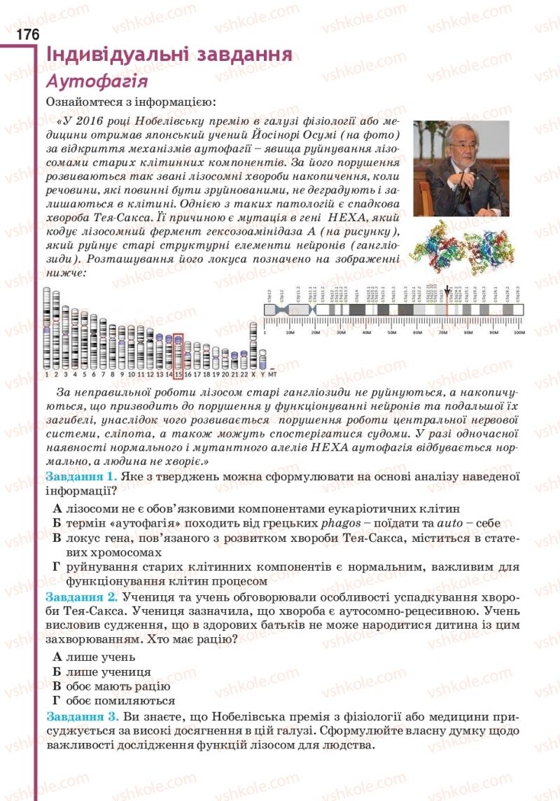 Страница 176 | Підручник Біологія 10 клас О.А. Андерсон, А.О Чернінський, М.А. Вихренко, С.М. Міюс 2018