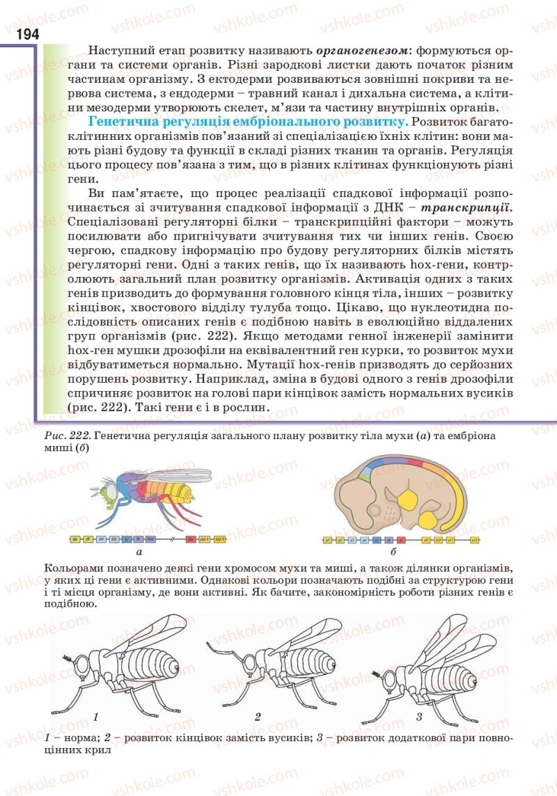 Страница 194 | Підручник Біологія 10 клас О.А. Андерсон, А.О Чернінський, М.А. Вихренко, С.М. Міюс 2018