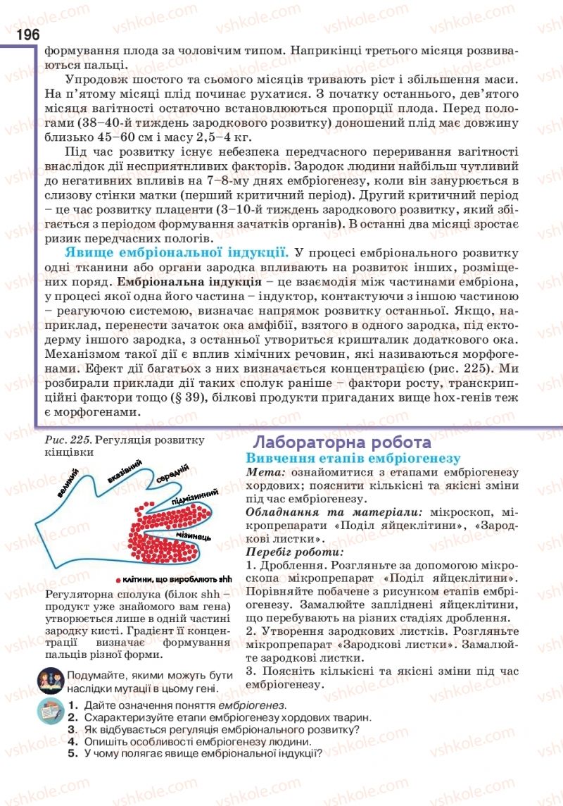 Страница 196 | Підручник Біологія 10 клас О.А. Андерсон, А.О Чернінський, М.А. Вихренко, С.М. Міюс 2018