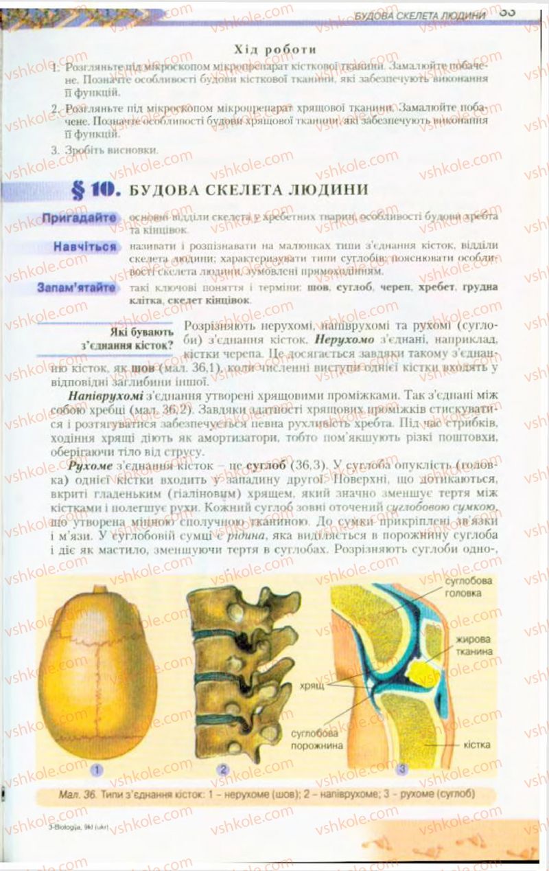 Страница 33 | Підручник Біологія 9 клас Н.Ю. Матяш, М.Н. Шабатура 2009