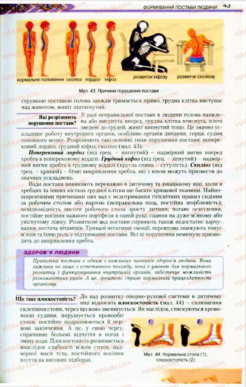 Страница 43 | Підручник Біологія 9 клас Н.Ю. Матяш, М.Н. Шабатура 2009