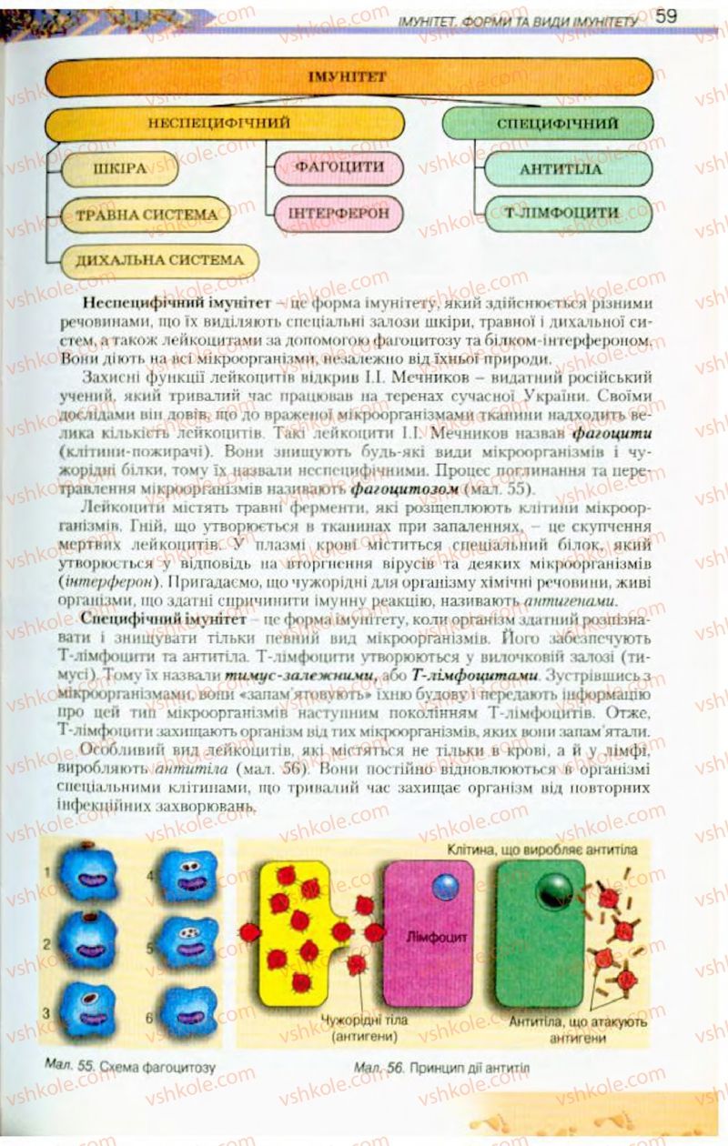 Страница 59 | Підручник Біологія 9 клас Н.Ю. Матяш, М.Н. Шабатура 2009