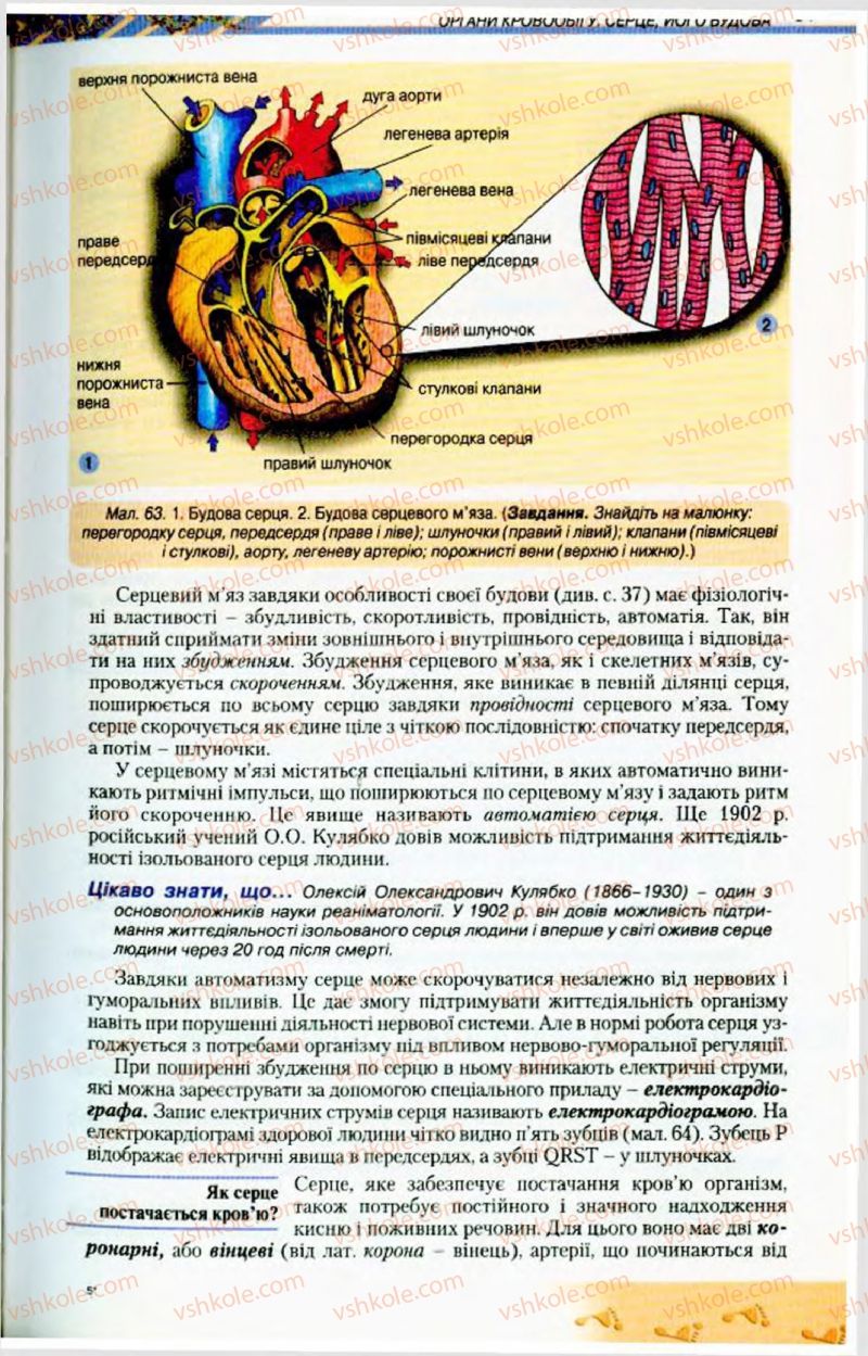 Страница 67 | Підручник Біологія 9 клас Н.Ю. Матяш, М.Н. Шабатура 2009