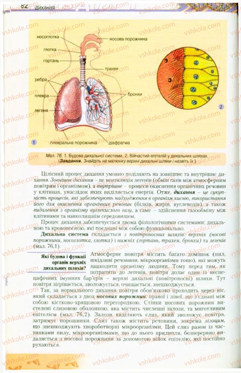 Страница 82 | Підручник Біологія 9 клас Н.Ю. Матяш, М.Н. Шабатура 2009