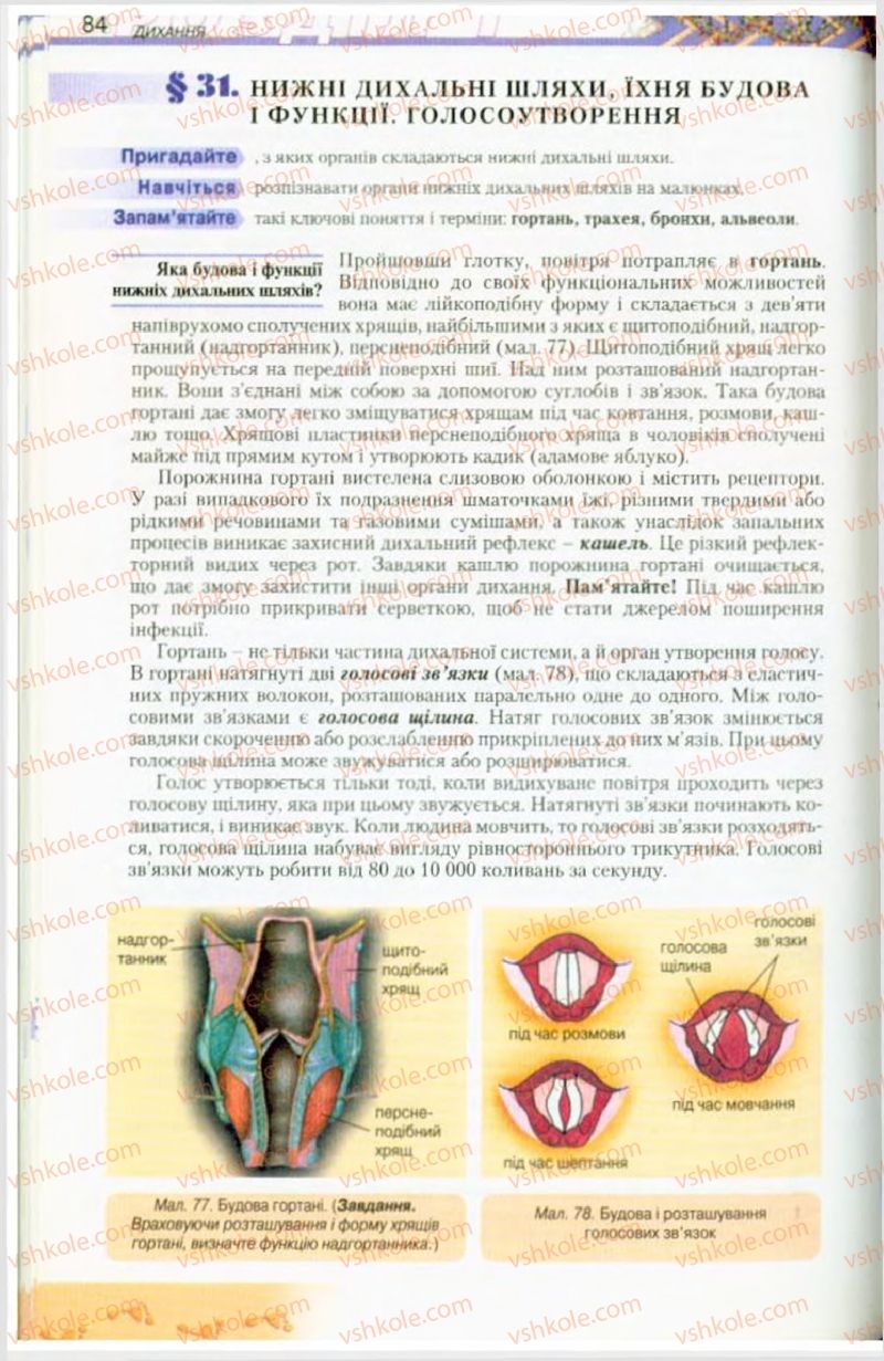 Страница 84 | Підручник Біологія 9 клас Н.Ю. Матяш, М.Н. Шабатура 2009