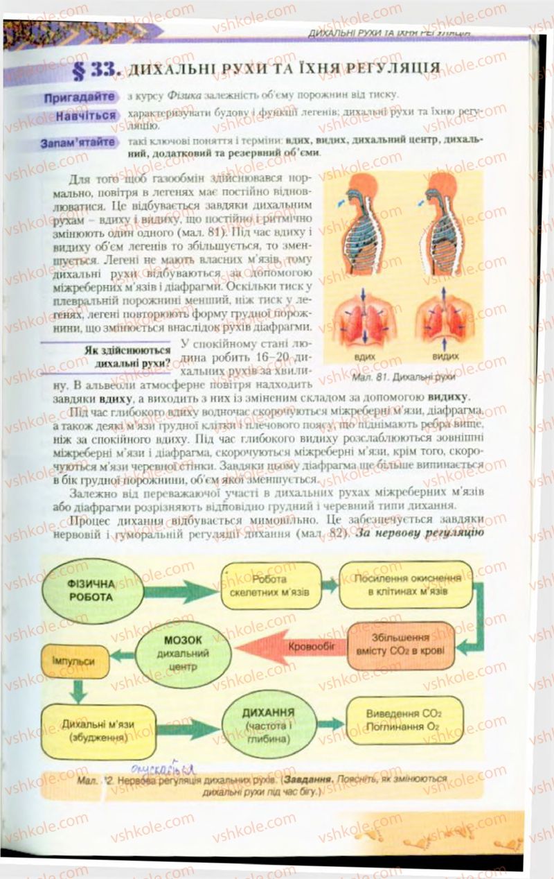 Страница 89 | Підручник Біологія 9 клас Н.Ю. Матяш, М.Н. Шабатура 2009