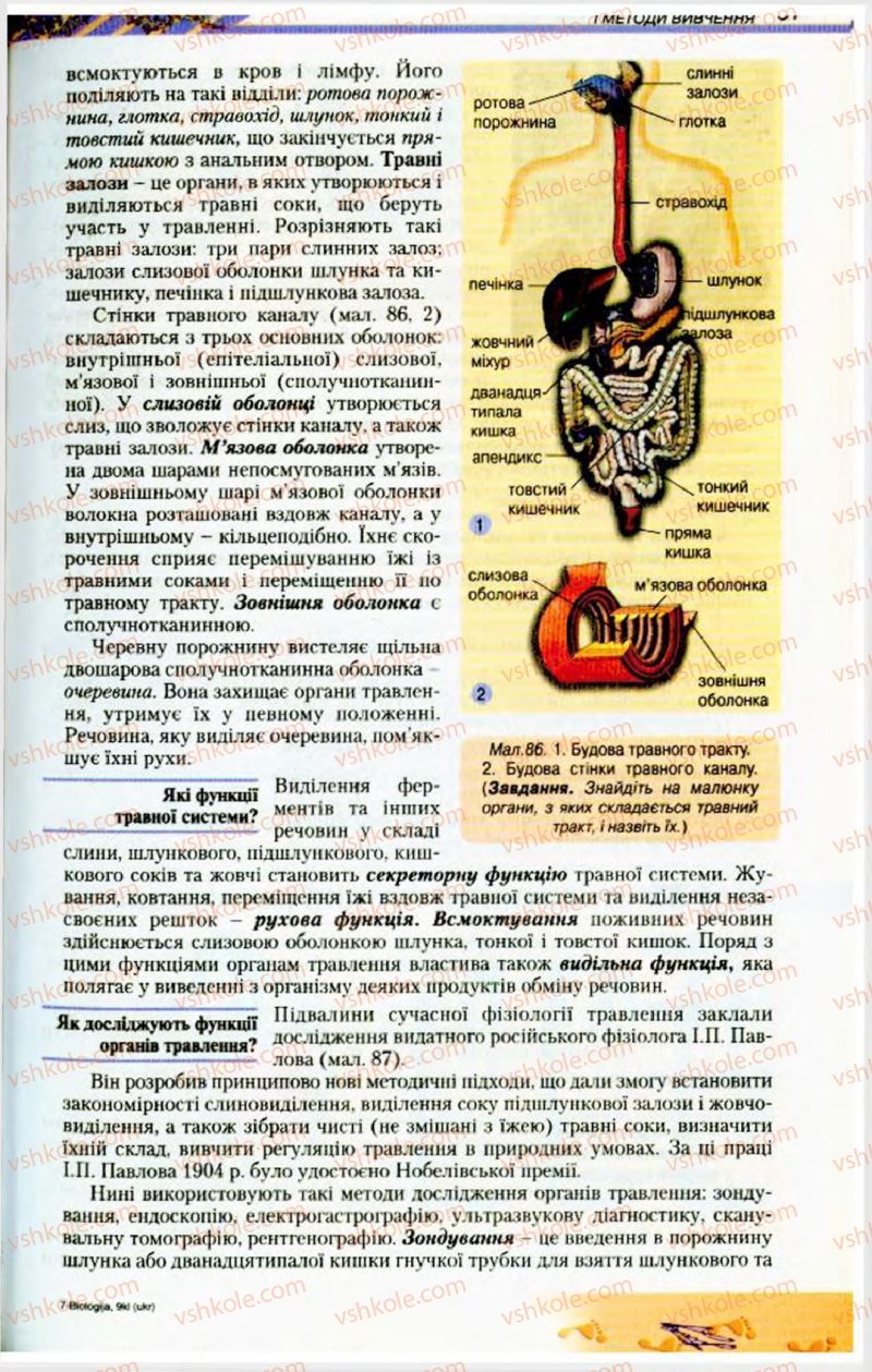 Страница 97 | Підручник Біологія 9 клас Н.Ю. Матяш, М.Н. Шабатура 2009