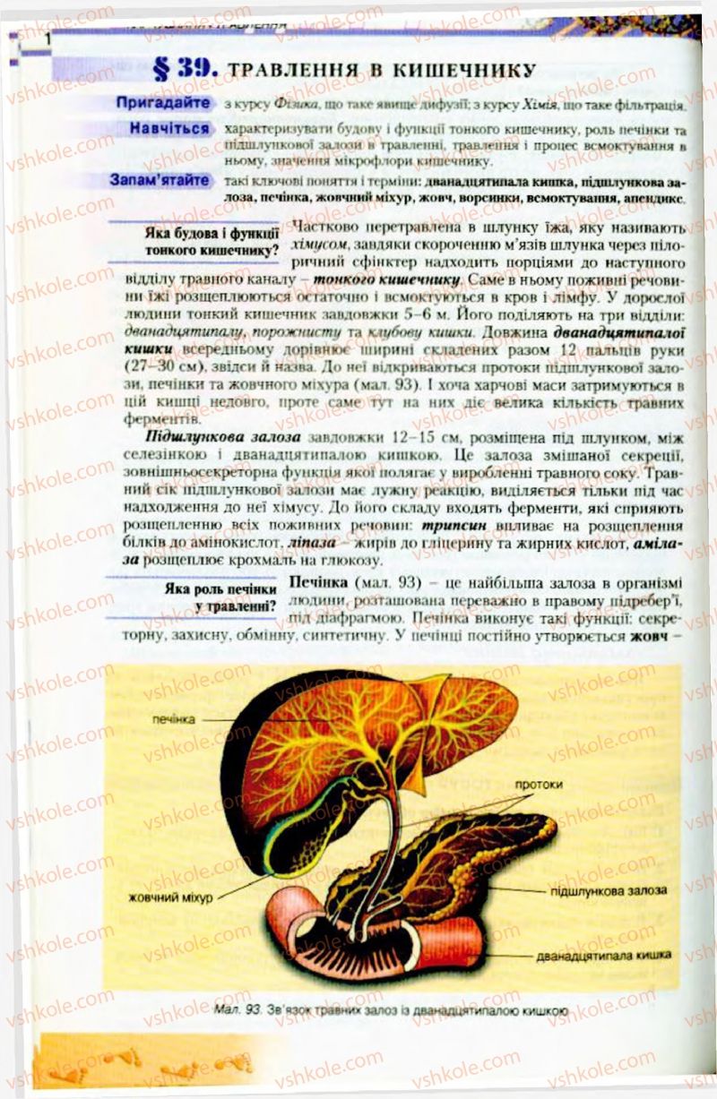Страница 104 | Підручник Біологія 9 клас Н.Ю. Матяш, М.Н. Шабатура 2009