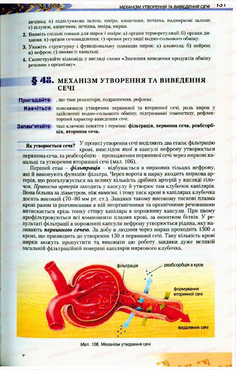 Страница 131 | Підручник Біологія 9 клас Н.Ю. Матяш, М.Н. Шабатура 2009