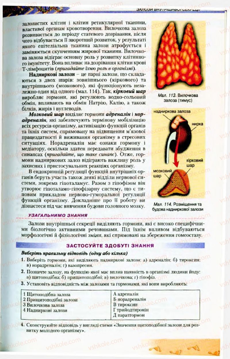 Страница 141 | Підручник Біологія 9 клас Н.Ю. Матяш, М.Н. Шабатура 2009