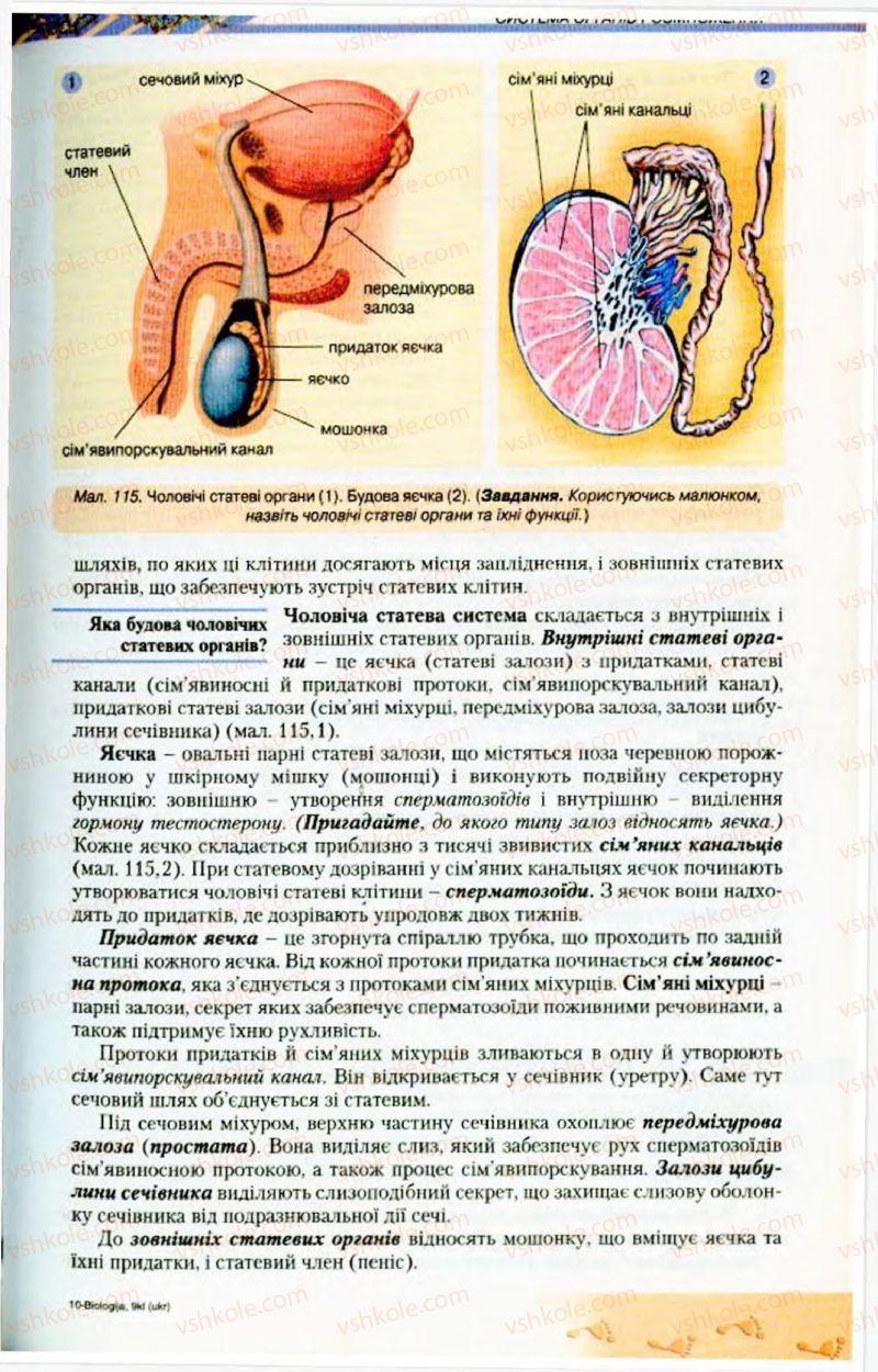 Страница 145 | Підручник Біологія 9 клас Н.Ю. Матяш, М.Н. Шабатура 2009